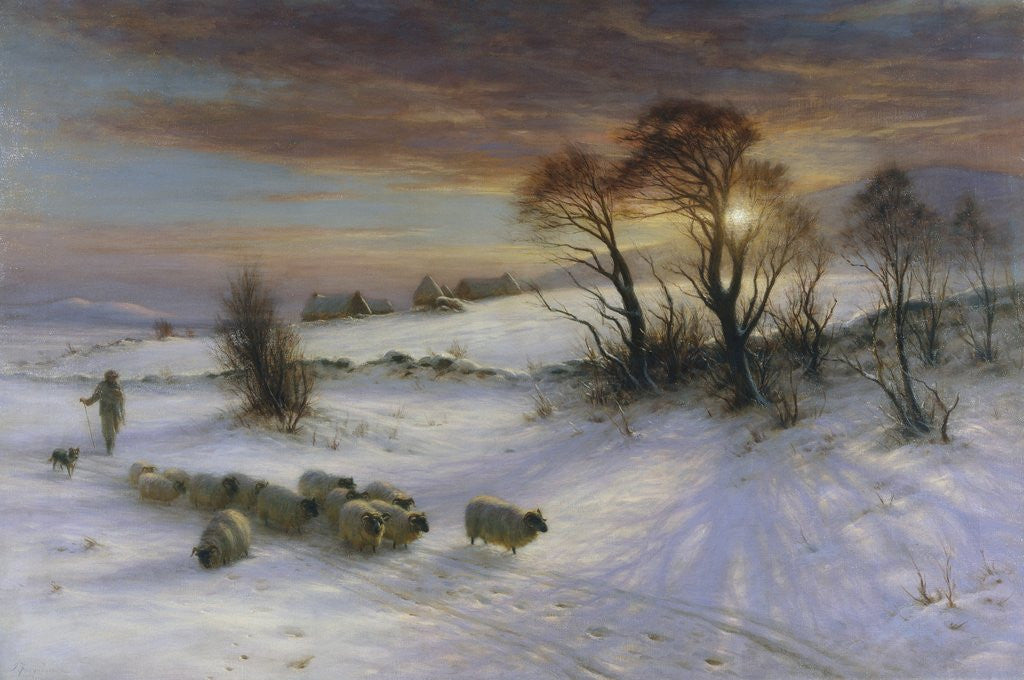 The Evening Glow