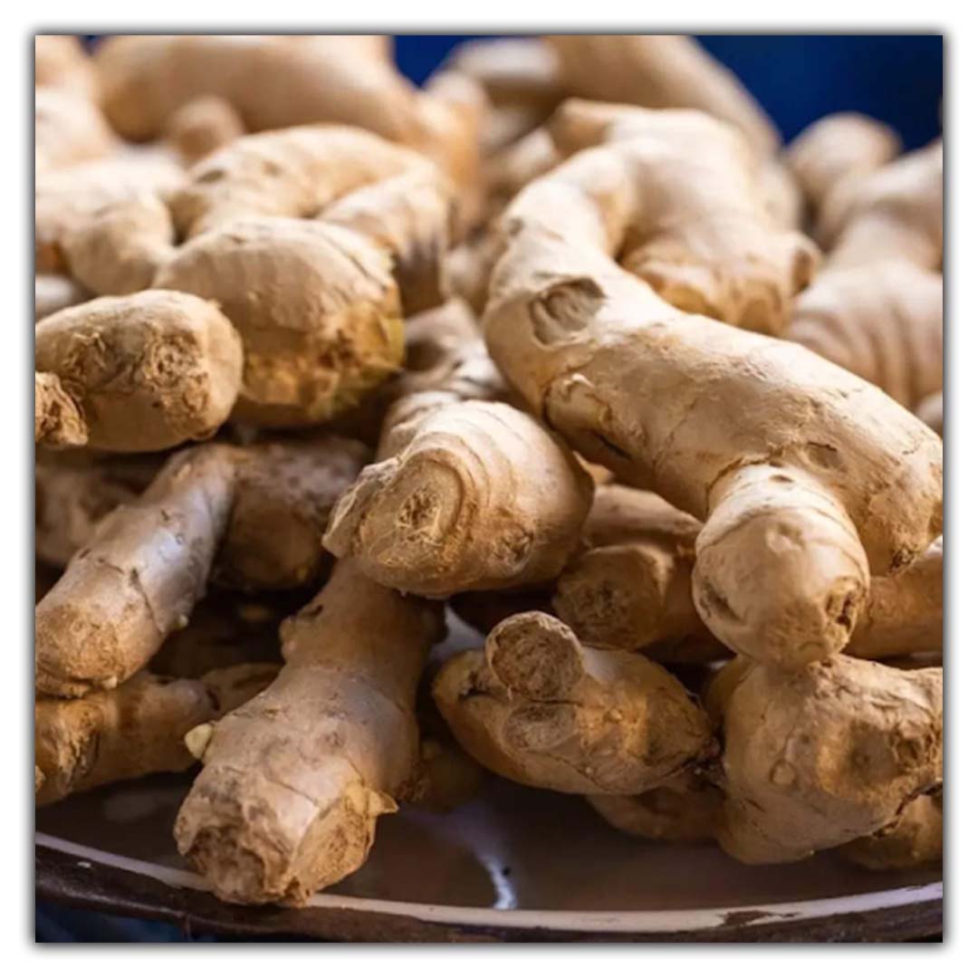 GINGER OIL CO2