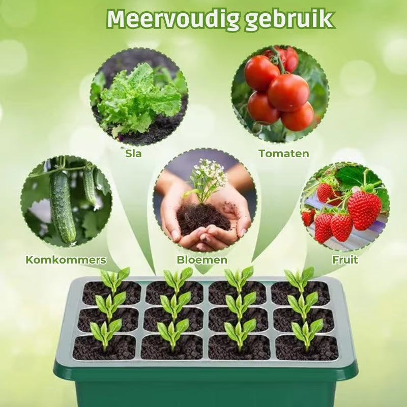Zaaibakken met kweeklamp