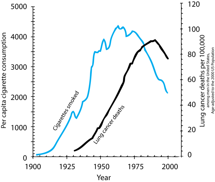 cigarette smoking increases the risk of lung cancer hypothesis Chapter 7  Causality