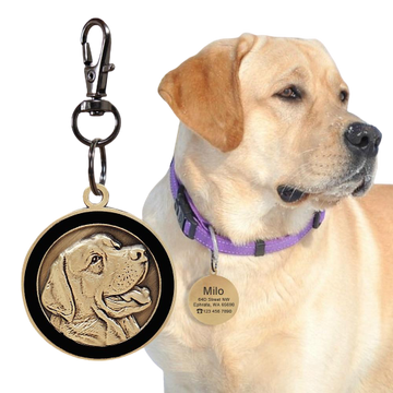 Personalized Dog ID Tags by Style's Bug - Style's Bug