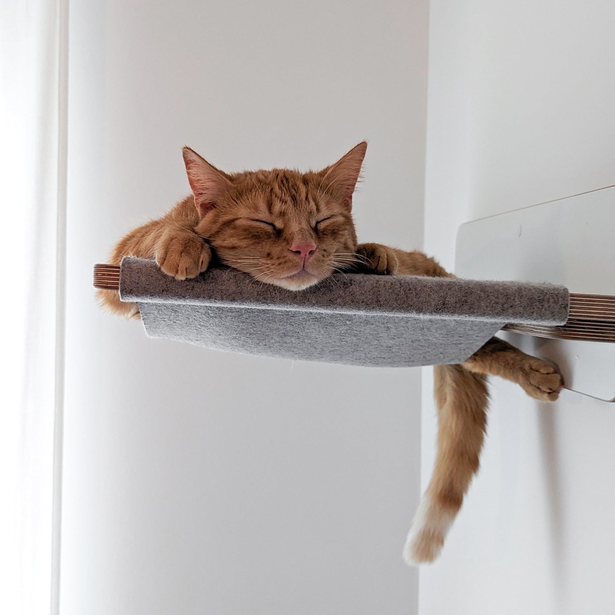 Hängepartie | HÄNGEMATTE für Katzen - weiß