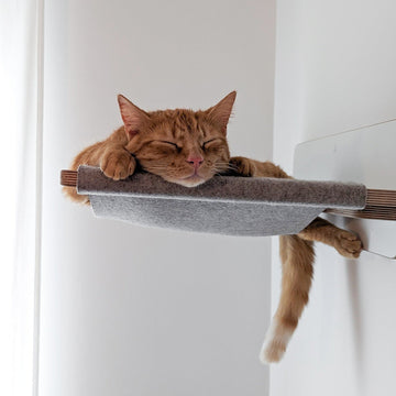 Hängepartie | HÄNGEMATTE für Katzen - weiß